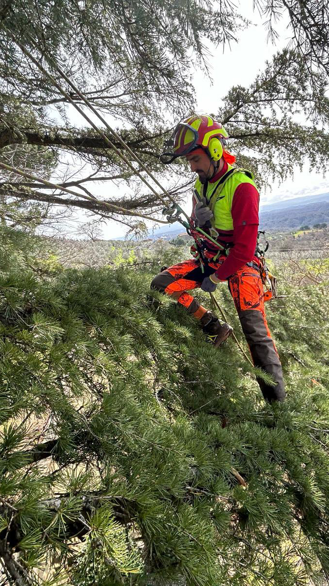 Arboricoltura Specializzata